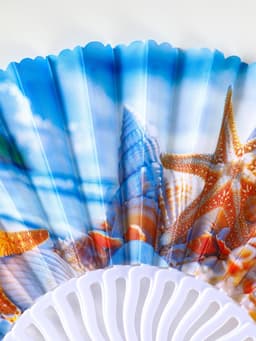 Веер складной «Морские ракушки», 23 см, МИКС