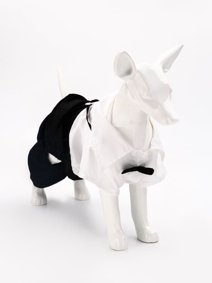 Костюм для животных «Джентельмен», размер S (ДС 25, ОГ 35 см)