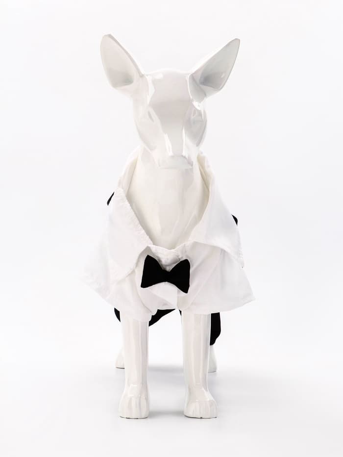 Костюм для животных «Джентельмен», размер M (ДС 30, ОГ 40 см)