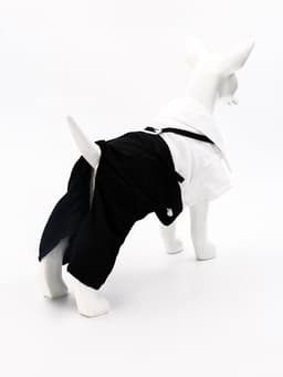 Костюм для животных «Джентельмен», размер L (ДС 35, ОГ 45 см)