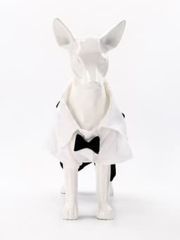 Костюм для животных «Джентельмен», размер L (ДС 35, ОГ 45 см)