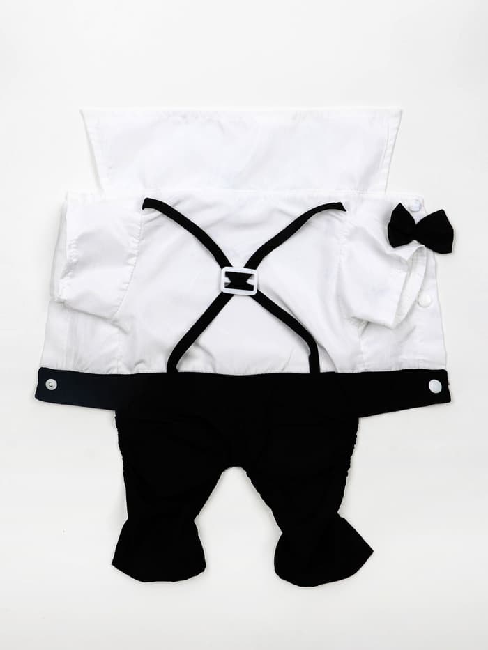 Костюм для животных «Джентельмен», размер XL (ДС 40, ОГ 50 см)