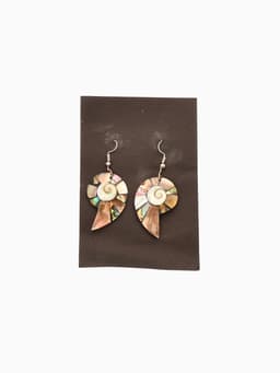 Серьги «Морская ракушка», 5.5×2 см, ракушка