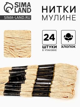 Нитки мулине Bestex, бежевый цвет (803), 24 шт. в уп.