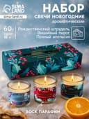Набор: свечи ароматические новогодние Christmas Vibes, 3 шт., по 60 г