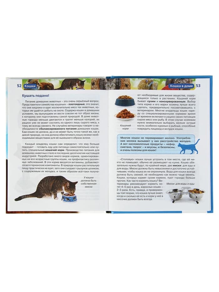 Детская энциклопедия «Кошки»