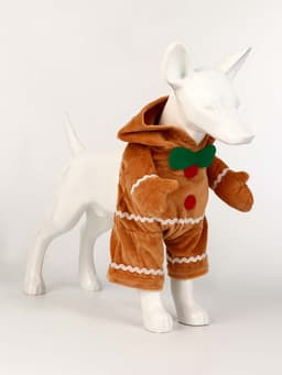 Костюм «Новогодняя печенька», S (ДС 20, ОГ 32 см)