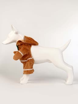 Костюм «Новогодняя печенька», S (ДС 20, ОГ 32 см)