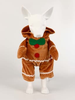 Костюм «Новогодняя печенька», M (ДС 25, ОГ 37 см)