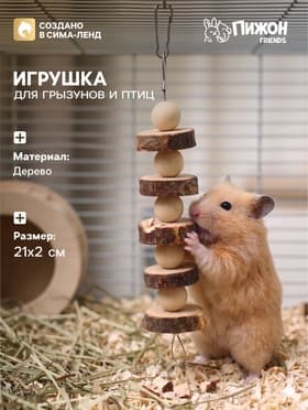 Игрушка для птиц и грызунов «Погрызушка», 21×2 см, дерево