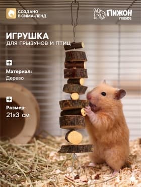 Игрушка для птиц и грызунов «Лесенка вверх», 21×3 см, дерево