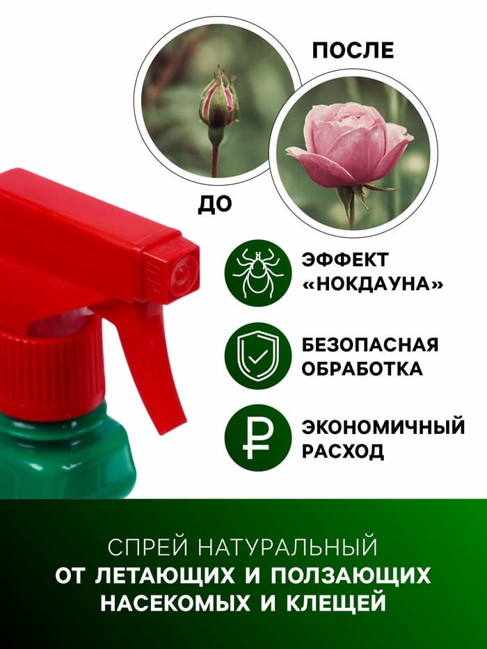 Спрей от летающих насекомых Бона Форте на натуральных пиретринах, флакон 500 мл тригер