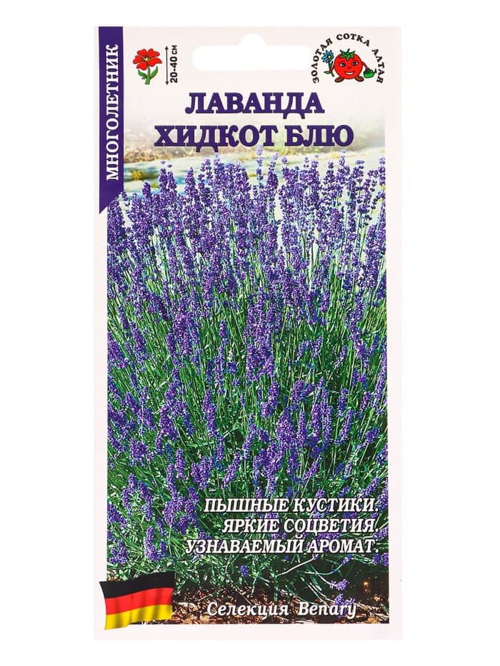 Семена Лаванда «Хидкот Блю», 10 шт., «Золотая Сотка Алтая»