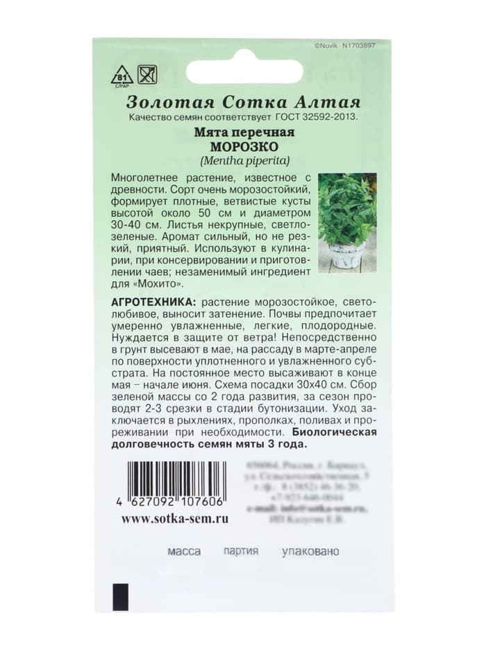 Семена Мята перечная «Морозко», 0.03 г, многолетняя, «Золотая Сотка Алтая»