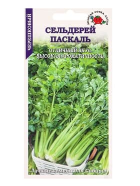 Семена Сельдерей черешковый «Паскаль», 0.5 г, холодоустойчивый, «Золотая Сотка Алтая»