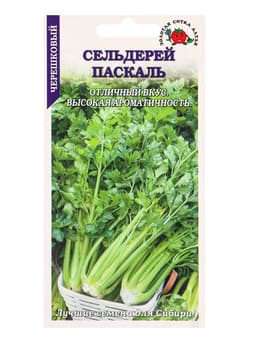 Семена Сельдерей черешковый «Паскаль», 0.5 г, холодоустойчивый, «Золотая Сотка Алтая»