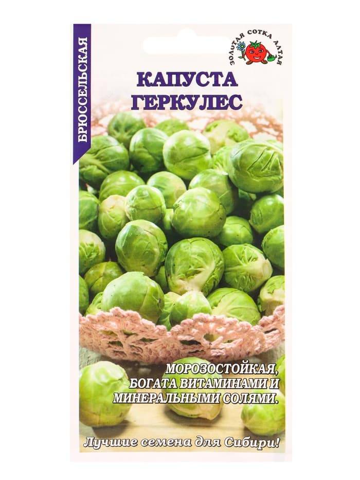 Семена Капуста брюссельская «Геркулес», 0.3 г, позднеспелая, морозостойкая, «Золотая Сотка Алтая»