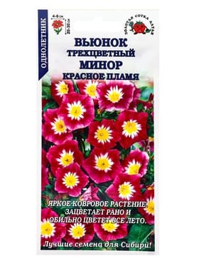 Семена Вьюнок «Минор Красное пламя», 0.5 г, трёхцветный, «Золотая Сотка Алтая»
