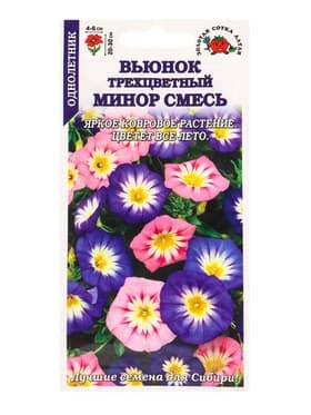 Семена Вьюнок «Минор», трехцветный, смесь, 0.5 г, «Золотая Сотка Алтая»