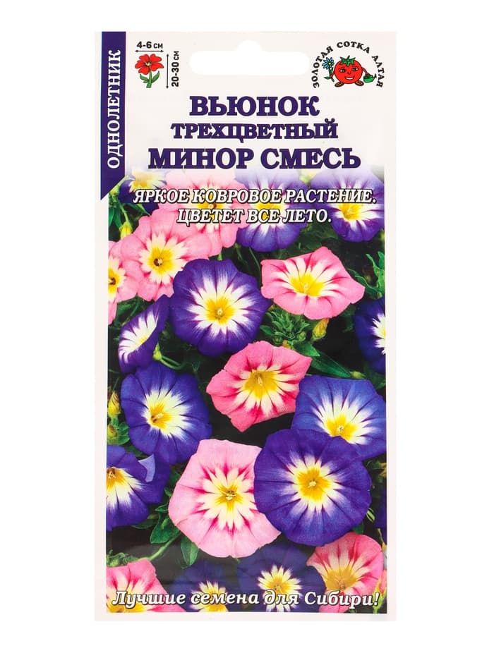 Семена Вьюнок «Минор», трехцветный, смесь, 0.5 г, «Золотая Сотка Алтая»