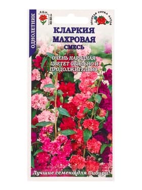 Семена Кларкия «Махровая смесь изящная», 0.2 г, «Золотая Сотка Алтая»