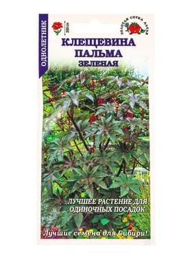 Семена Клещевина занзибарская «Пальма зеленая», 3 шт., «Золотая Сотка Алтая»