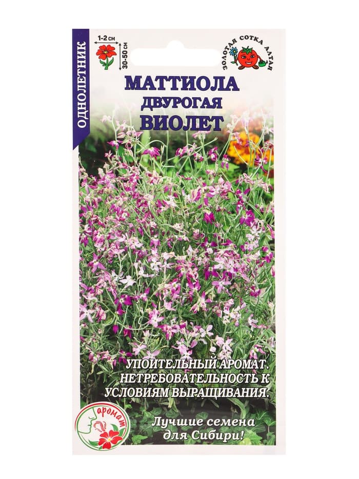 Семена Маттиола двурогая «Виолет», 0.5 г, «Золотая Сотка Алтая»