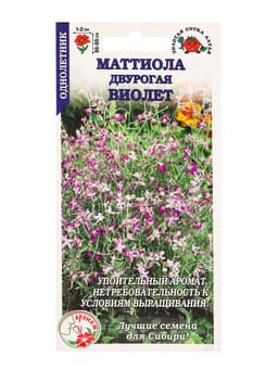 Семена Маттиола двурогая «Виолет», 0.5 г, «Золотая Сотка Алтая»
