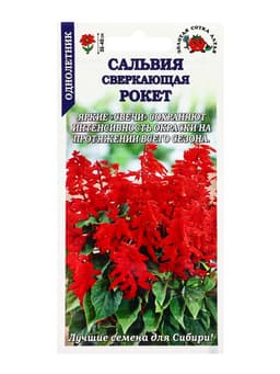 Семена Сальвия «Рокет сверкающая красная», 0.1 г, «Золотая Сотка Алтая»