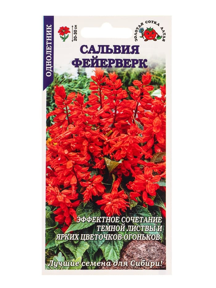 Семена Сальвия «Фейерверк», 0.05 г, «Золотая Сотка Алтая»