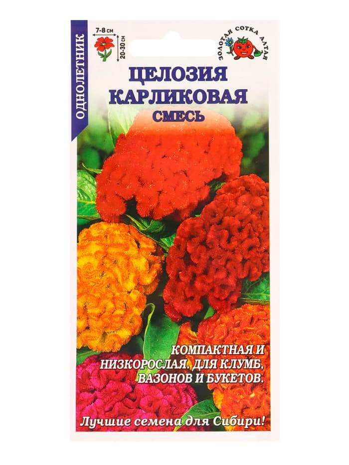 Семена Целозия «Карликовая», смесь, 0.1 г, «Золотая Сотка Алтая»