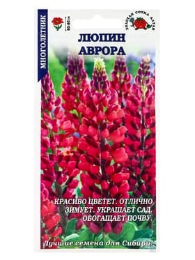 Семена Люпин «Аврора», 0.3 г, красновато-розовый, многолетний, «Золотая Сотка Алтая»