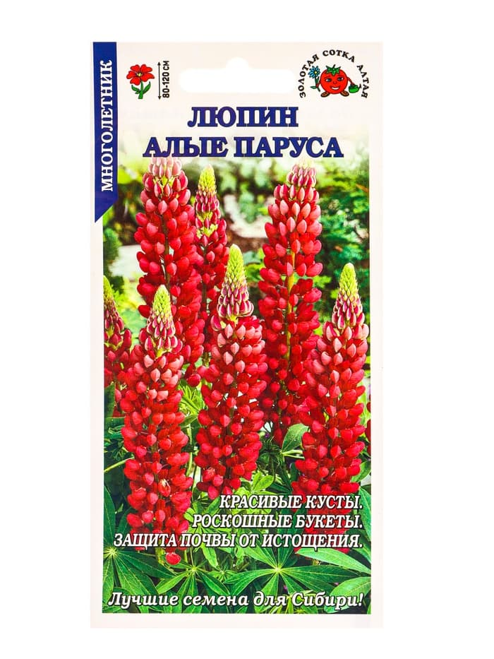 Семена Люпин «Алые Паруса», 0.3 г, многолетний, «Золотая Сотка Алтая»