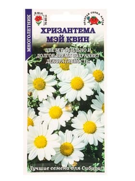 Семена Хризантема «Мэй Квин», 0.3 г, многолетняя, «Золотая Сотка Алтая»