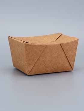 Контейнер одноразовый, коробка пищевая, для лапши, 600 мл, 11×9×7.3 см