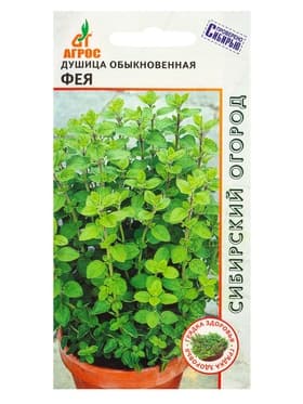 Семена Душица обыкновенная «Фея», 0.1 г, «Агрос»
