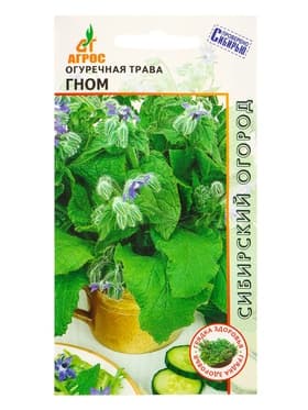 Семена Огуречная трава "Гном" 0,5 г