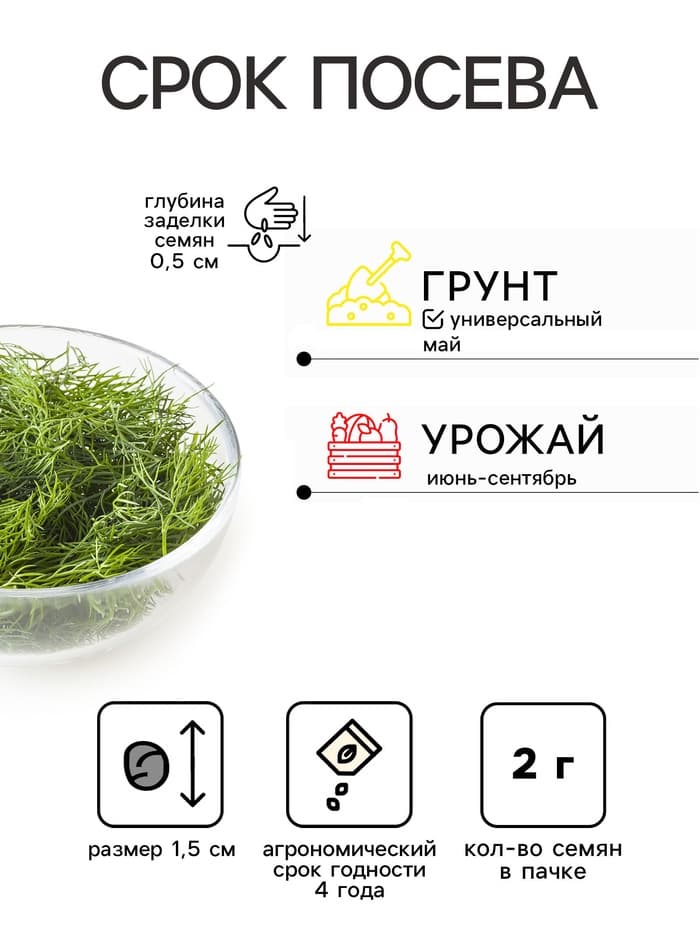 Семена Укроп «Изумруд» 2 г