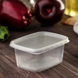 Контейнер одноразовый с крышкой, пластик, набор 10 шт., 250 мл, 10.8×8.2×4.6 см, прозрачный