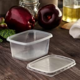 Контейнер одноразовый с крышкой, пластик, набор 10 шт., 250 мл, 10.8×8.2×4.6 см, прозрачный