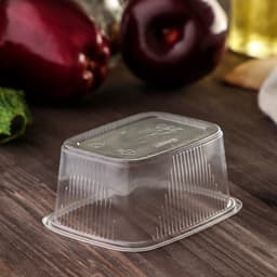 Контейнер одноразовый с крышкой, пластик, набор 10 шт., 250 мл, 10.8×8.2×4.6 см, прозрачный