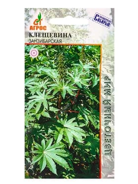 Семена Клещевина «Занзибарская», 4 шт., «Агрос»