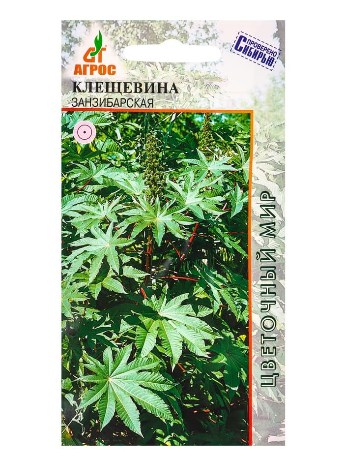 Семена Клещевина «Занзибарская», 4 шт., «Агрос»