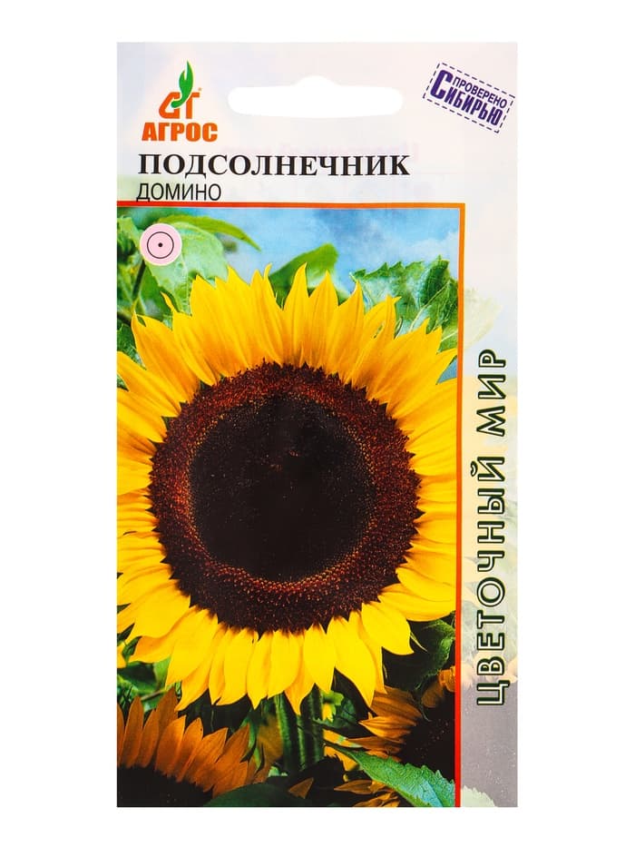 Семена Подсолнечник "Домино" 1 г