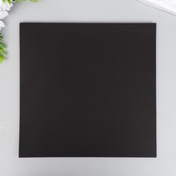 Лист для фотоальбома чёрный, плотность 250 г, набор 30 шт., 26×26 см