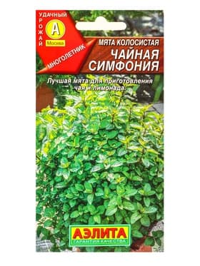 Семена Мята колосистая «Чайная симфония», 0.05 г, «Агрофирма АЭЛИТА»
