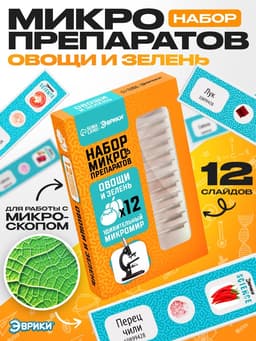 Набор для опытов «Набор микропрепаратов», овощи и зелень
