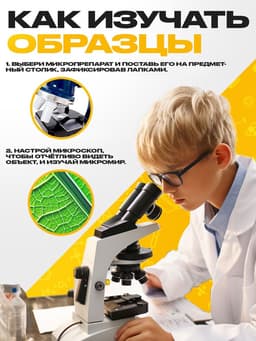 Набор для опытов «Набор микропрепаратов», овощи и зелень