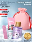 Подарочный набор косметики в мешке: крем для рук, пилочка, гель для душа, аромат фруктовый лимонад, URAL LAB