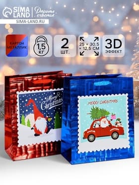Набор подарочных пакетов 2 шт., металлизированные «Новый год», 25×30.5×12.5 см